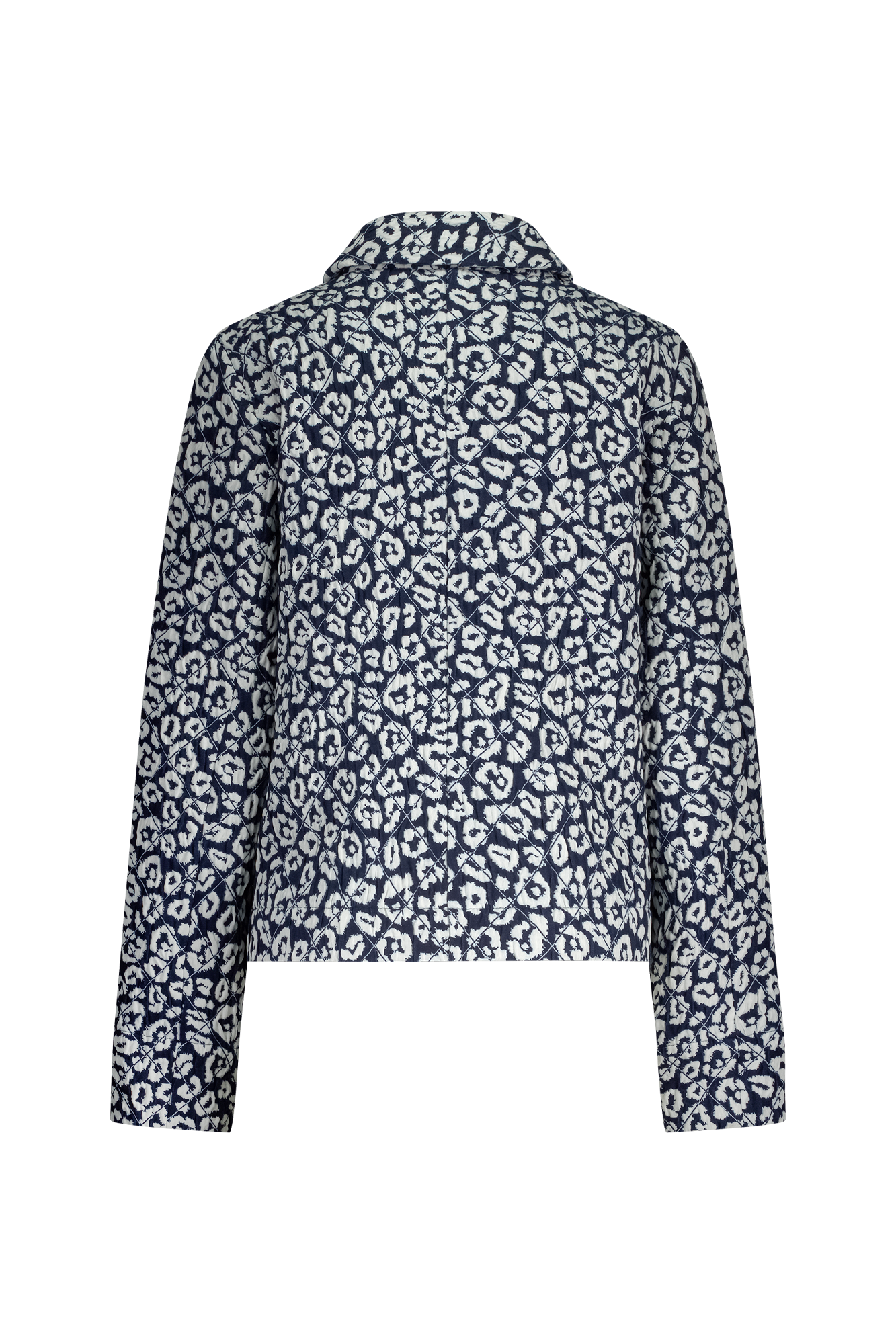 Olana Blazer Blauw Print